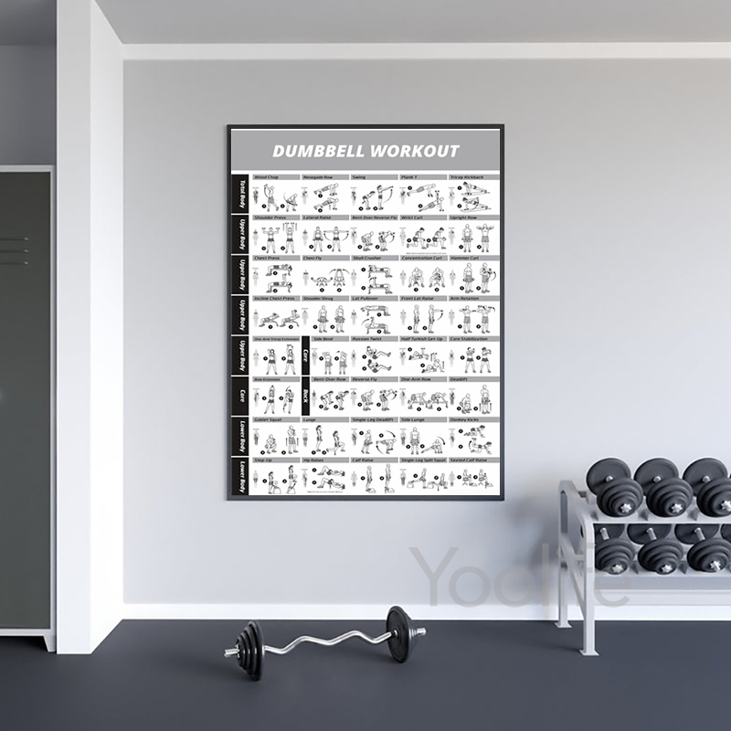 Workout Exercise Chart Posters - Sports Equipment Poster review and price